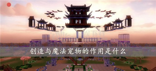 创造与魔法宠物的作用是什么 宠物具体作用介绍