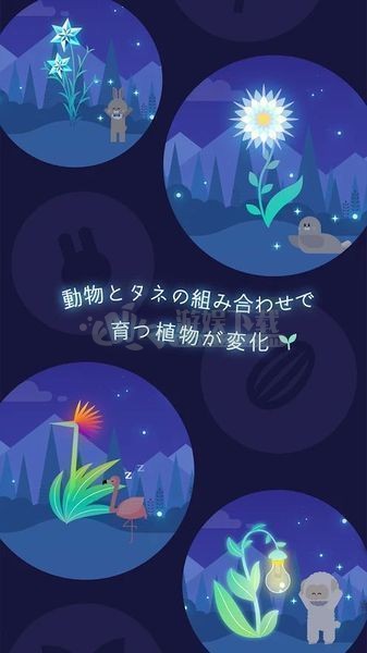 夜之森汉化版