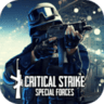 Critical strike CS Special Forces