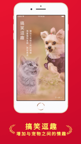 人狗猫交流器app