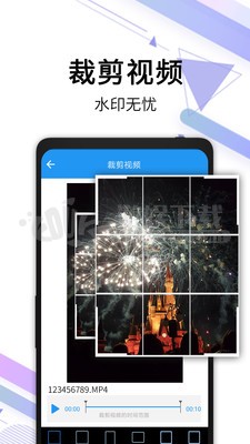 视频去水印破解版