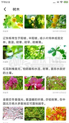 植物百科app