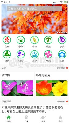 植物百科app