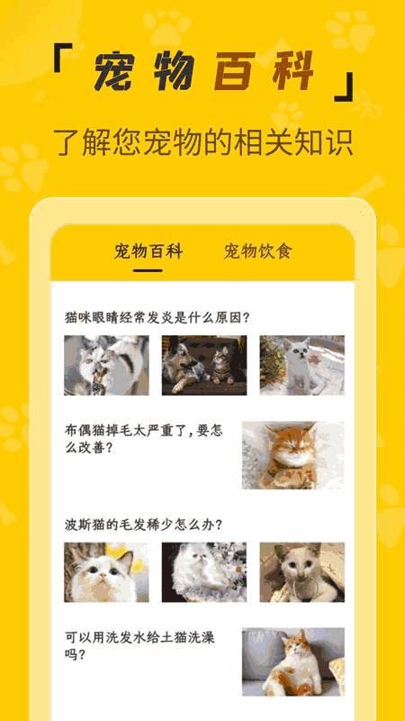 人猫翻译机器