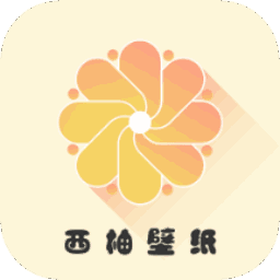 小小壁纸软件