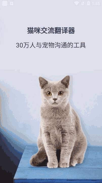 猫咪交流翻译器