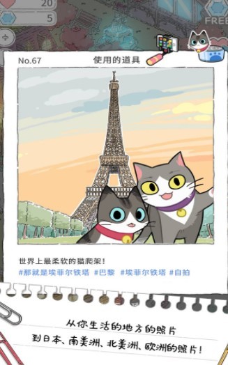 猫友圈猫咪的旅行破解版