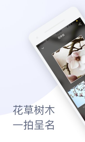 花伴侣拍照识花app