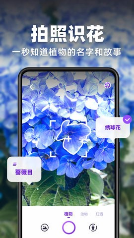 趣扫app官方版