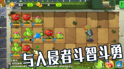 植物僵尸大作战95版破解版