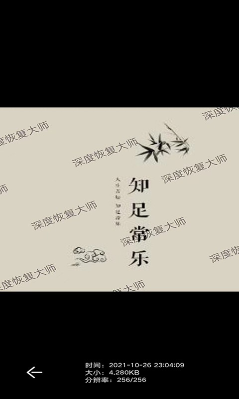 深度恢复大师免费版