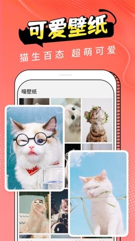 pet猫翻译