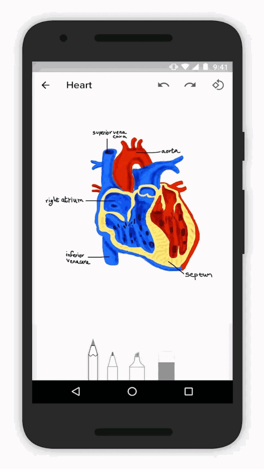 Zoho Notebook