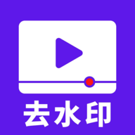 无水印视频破解版