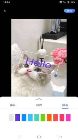 小猪翻译器