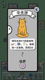 猫女士游戏