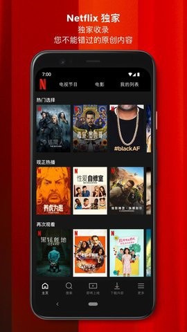 Netflix官方中文版