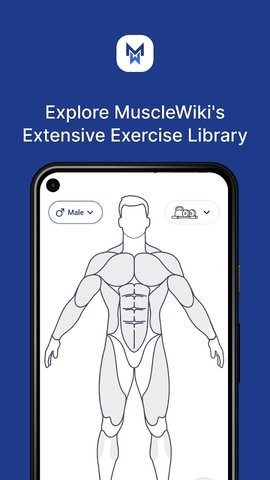 MuscleWiki中文版