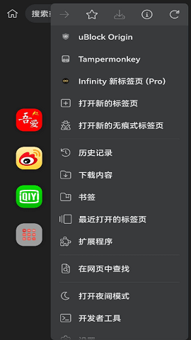 Kiwi Browser手机浏览器