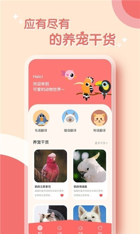 鹦鹉翻译器app