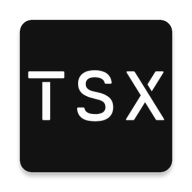 TSX软件