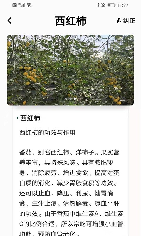 植物科普百科app