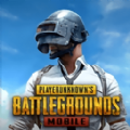 pubg绿体直装版