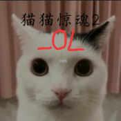 猫猫惊魂2OL重置版