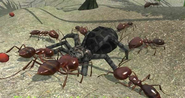 3d蚂蚁模拟器无限皮肤