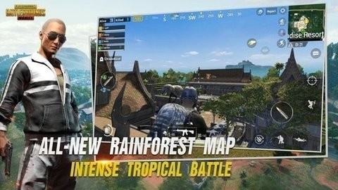 puBG呆呆内部一体框架