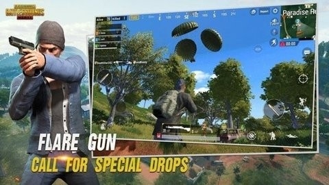 puBG呆呆内部一体框架