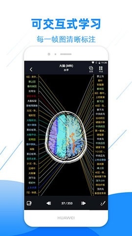 影像解剖图谱app永久免费