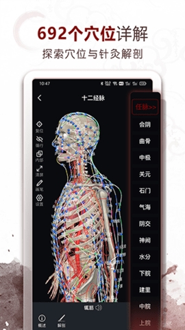 中医经络穴位app