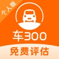 车300