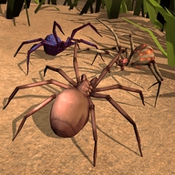 蜘蛛模拟生存无限金币版