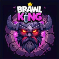 闹事国王(Brawl King)