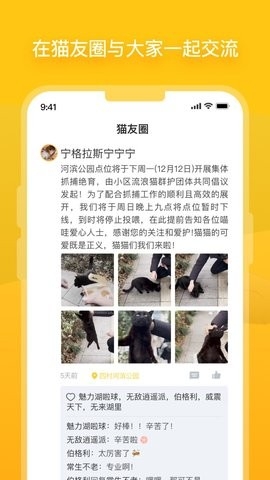 街猫app