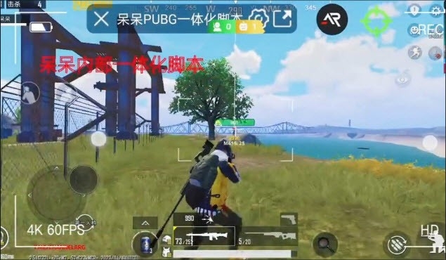 pubg呆呆直装国体