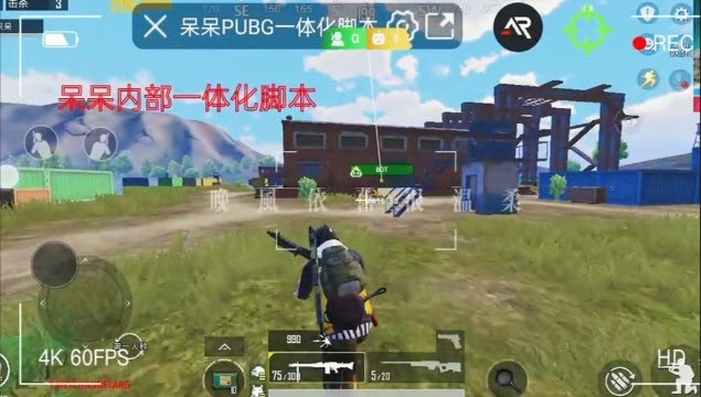 pubg呆呆直装国体