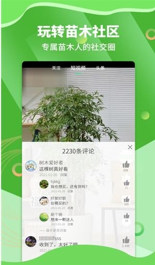 苗木通app