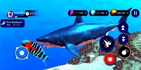 鲨鱼猎人模拟器(Shark Hunter Simulater)