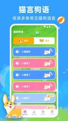 宠物猫咪翻译器免费版