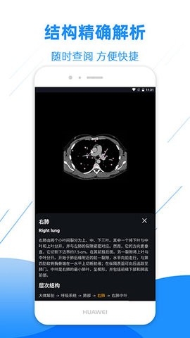 影像解剖图谱app永久免费