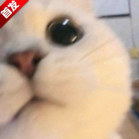 喵爪商城