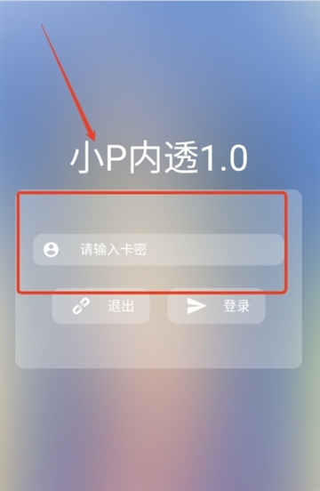 小P内透1.0