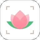 识花app